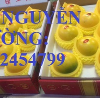 5 Cung cấp cây giống vú sữa vàng, vú sữa hoàng kim, vú sữa abiu, cung cấp cây giống toàn quốc