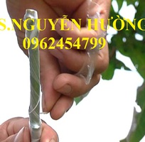 1 Cung cấp băng ghép cây tự hủy, dây ghép cây tự hủy, giao hàng toàn quốc