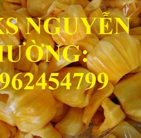 2 Cung cấp giống cây mít thái siêu sớm, mít thái tứ quý, mít thái changai, giao cây toàn quốc