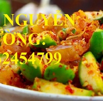 5 Cung cấp cây giống cóc thái, cây giống sinh trưởng phát triển tốt cho năng suất cao