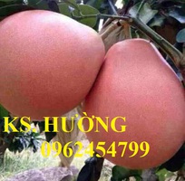 1 Cung cấp các loại cây giống có giá trị kinh tế cho năng suất cao, giao cây toàn quốc