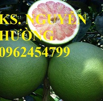 2 Cung cấp các loại cây giống có giá trị kinh tế cho năng suất cao, giao cây toàn quốc