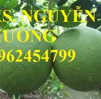 10 Cung cấp các loại cây giống có giá trị kinh tế cho năng suất cao, giao cây toàn quốc