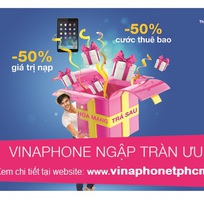 Gói cước Thương Gia VinaPhone mới