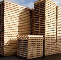 1 Chuyên cung cấp các loại pallet nhựa pallet gỗ làm theo yêu cầu của quý cty