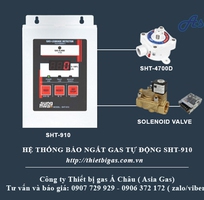 2 Bộ thiết bị báo động rò rỉ ngắt van gas tự động Sunghwa