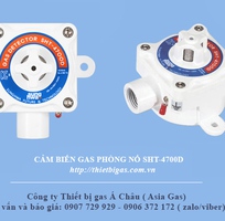 2 Thiết bị báo rò gas đóng van gas tự động kho gas SHT-910