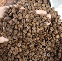 6 Cà phê rang xay nguyên chất, cà phê hạt 100 sạch cho đối tác xuất khẩu