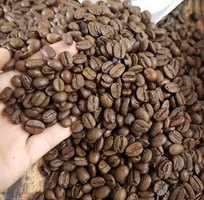 7 Cà phê rang xay nguyên chất, cà phê hạt 100 sạch cho đối tác xuất khẩu