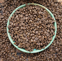13 Cà phê rang xay nguyên chất, cà phê hạt 100 sạch cho đối tác xuất khẩu