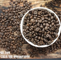 Cung cấp cafe nguyên chất giá sỉ chỉ 85k/kg