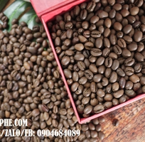 5 Cung cấp cafe nguyên chất giá sỉ chỉ 85k/kg