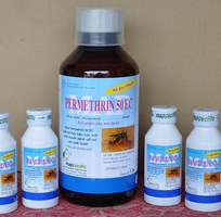 2 Dịch vụ phun thuốc diệt muỗi trường học tại Hà Nội