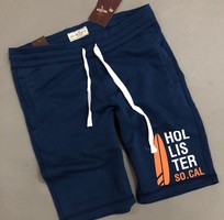 2 Chuyên sỉ lẻ quần short thun nam Hollister TPHCM