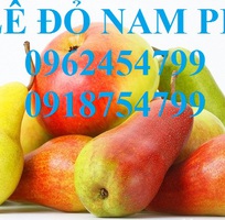 Bán giống cây lê đỏ nam phi, giống lê nam phi, giống cây lê vàng, cây lê đỏ, giao cây toàn quốc