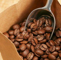 9 Cà phê CHỒN buôn ma thuột KIỀU HOA món quà đặc sản ở hà nội và các tỉnh việt nam