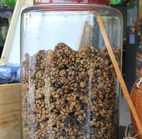 16 Cà phê CHỒN buôn ma thuột KIỀU HOA món quà đặc sản ở hà nội và các tỉnh việt nam