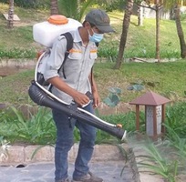 Diệt muỗi, côn trùng gây hại - Dịch vụ vệ sinh công nghiệp 5s