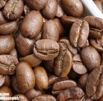 Cà phê hạt rang xay Arabica Cầu Đất cao cấp giá sỉ cho đối tác Bà Rịa, Vũng Tàu