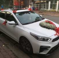 3 Cho Thuê Xe 4-7 Chổ Đời Mới 2019 (Dịch Vụ   Du Lịch)