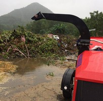 2 Máy nghiền cây di động