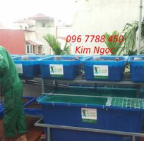 Khay nhựa trồng rau hữu cơ Aquaponics giá rẻ toàn quốc