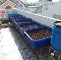 5 Khay nhựa trồng rau hữu cơ Aquaponics giá rẻ toàn quốc