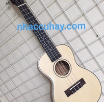 1 Bán đàn Ukulele tại Quảng nam