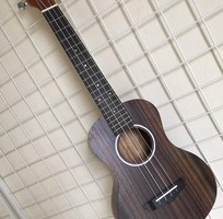 2 Bán đàn Ukulele tại Quảng nam