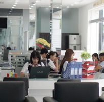 8 Cho Thuê Xe Tự Lái Tốt Nhất TPHCM