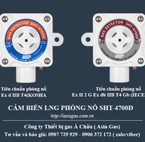 Sensor báo động rò rỉ LNG công nghiệp