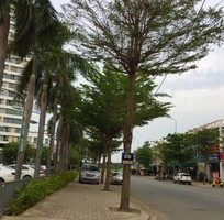 4 Tuyển gấp nhân viên bán hàng