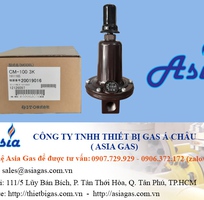 3 Van giảm áp gas 50 kg/h áp ra 0.5-4 bar