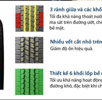 Lốp ô tô cao cấp Falken LiLam R51