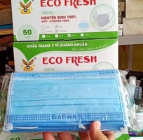 Khẩu trang Eco Fresh và Lehaco