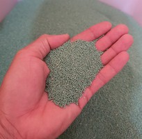 1 Cỏ bermuda cỏ sân vườn
