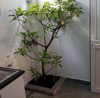 69 Cần Tuyển nhân viên bán hàng gấp