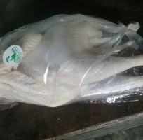7 Thịt gà ri lai chọi nhà nuôi thả vườn 120k/kí  không thu thêm phí nào nữa