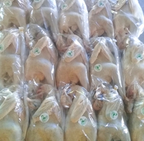 8 Thịt gà ri lai chọi nhà nuôi thả vườn 120k/kí  không thu thêm phí nào nữa