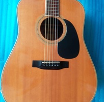 6 Morris acoustic guitar model W 30 tem vuông