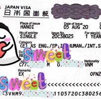 1 Chuyên visa Nhật Bản  Du lịch, thăm thân, công tác, du học, multiple...