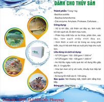 Xử lý nước gây màu nước cho ao tôm