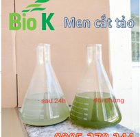 1 Biok - cung cấp men vi sinh nguyên liệu thủy sản