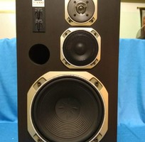 Cặp lao sansui-V100