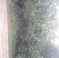 2 Tuyển 02 nv chạy bàn