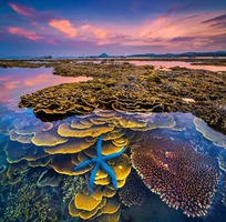 Kinh nghiệm du lịch Hòn Yến, ngắm san hô trên cạn ở Phú Yên