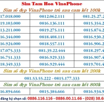 Chọn sim số đẹp Tam Hoa VinaPhone trả sau cam kết chỉ từ 100k