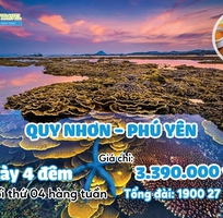 Tour Quy Nhơn - Phú Yên