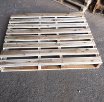 Chuyên cung cấp pallet gỗ, nhựa