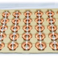 17 Khay bột giấy rút nước, Khay bột giấy nén, Khay bột giấy ép.